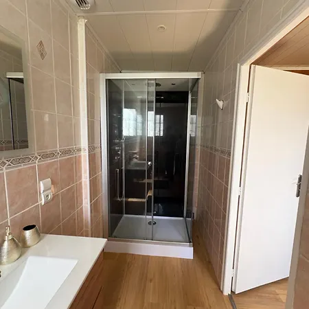 Vakantiehuis Maison Avec Billard Babyfoot Ping-pong Piscine 10 A 12 Personnes